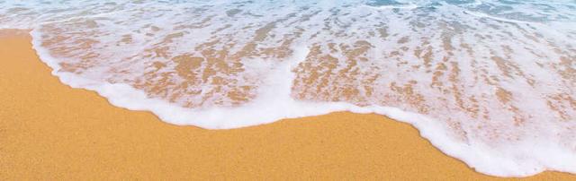 Summer Internships (accommodation provided)