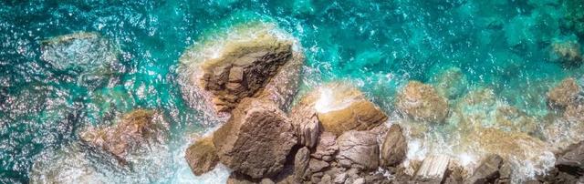 Practicas F&B, Recepcion